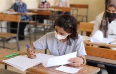 نتيجة الدبلومات الفنية 2025
