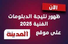 نتيجة الدبلومات الفنية 2025