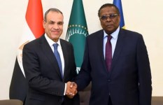 الوزير المصري ووزير تشادي