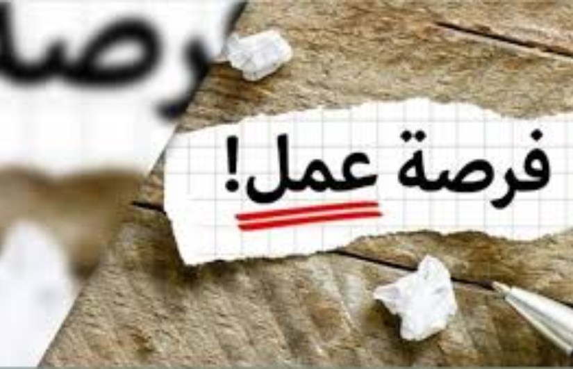 فرصة عمل فرصة عمل