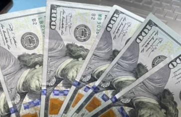 استقرار سعر الدولار أمام الجنيه المصري اليوم
