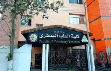 كلية الطب البيطري 
