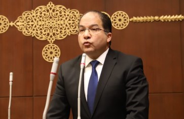 النائب عادل اللمعي، عضو مجلس الشيوخ