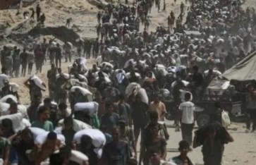 أرشيفية 