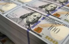 استقرار الدولار أمام الجنيه المصري اليوم