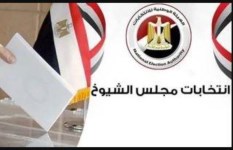 نتيجة انتخابات مجلس الشيوخ 2025