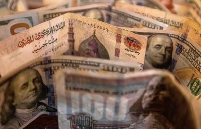 البنوك المصرية تستعد لمنح قروض دولارية للشركات البنوك المصرية تستعد لمنح قروض دولارية للشركات