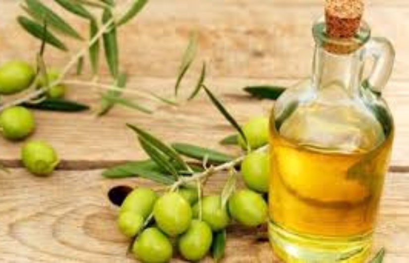 تصدير الزيتون تصدير الزيتون