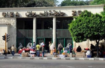 حديقة الحيوان بالجيزة 