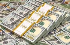 استقرار سعر الدولار في البنوك المصرية