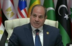 الرئيس عبدالفتاح السيسي 