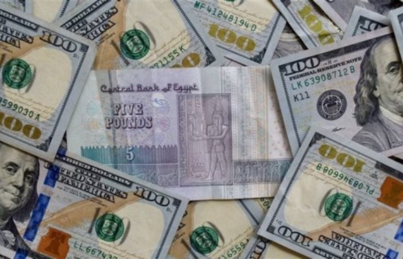استقرار سعر الدولار أمام الجنيه المصري اليوم