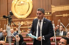 النائب مجدي البري