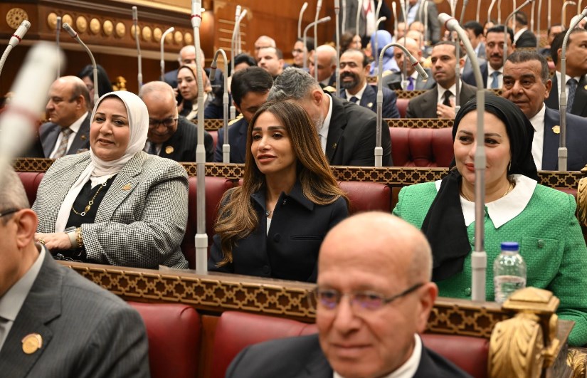 النائبة إنجي نصيف 